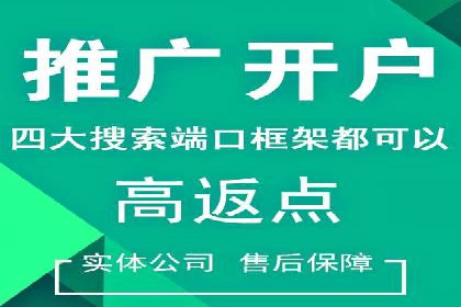成功SEM服务案例：优化广告投放